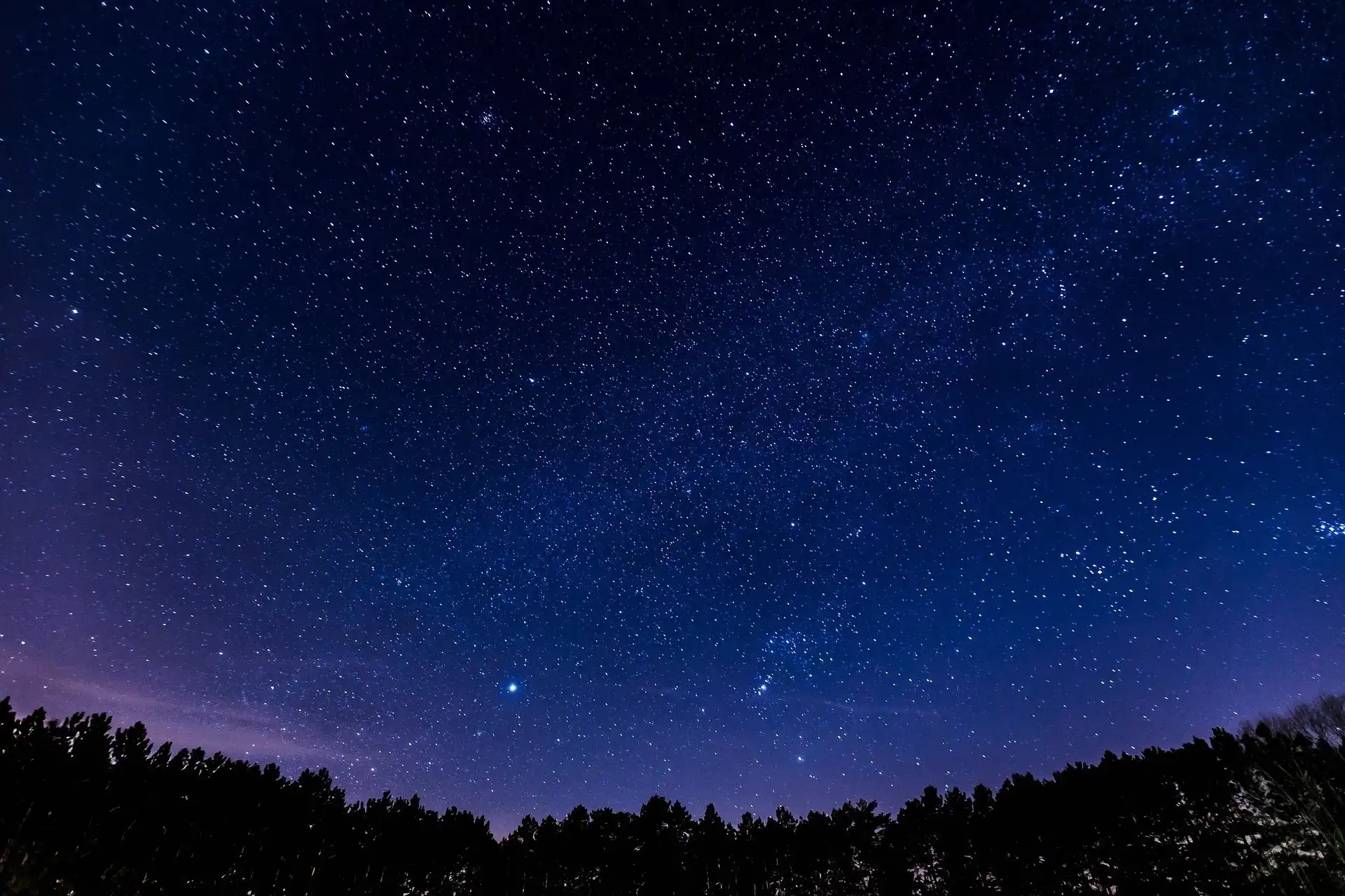 wolkenfreier Sternenhimmel. Darunter die schwarze Silhouette eines bewaldeten Bergkamms